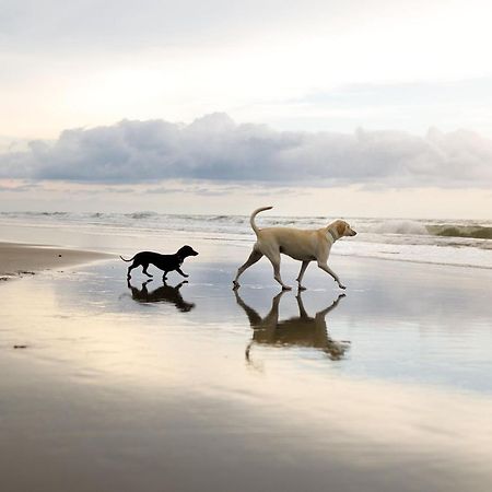 Spoonbill Cottage Filey Esterno foto