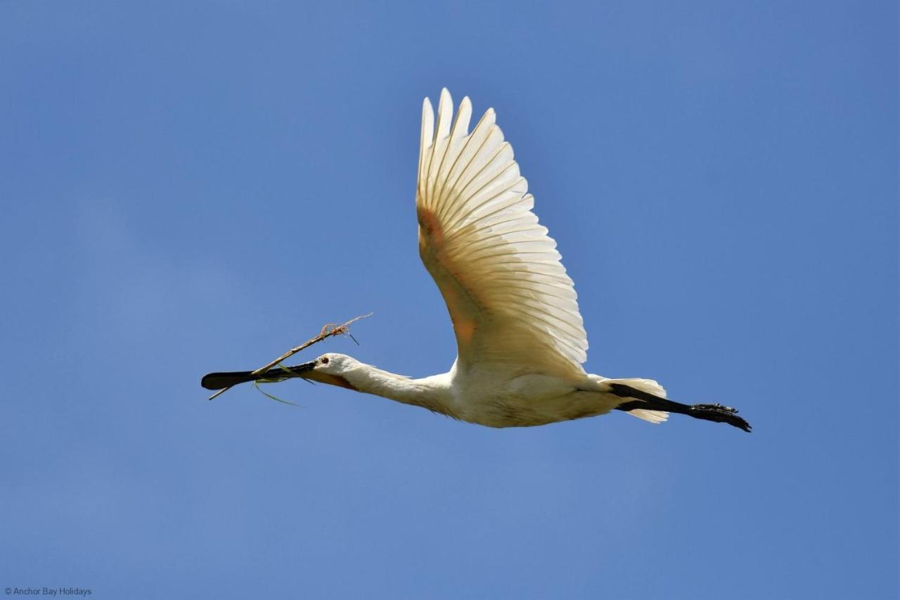 Spoonbill Cottage Filey Esterno foto