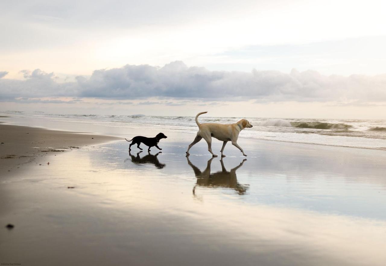 Spoonbill Cottage Filey Esterno foto